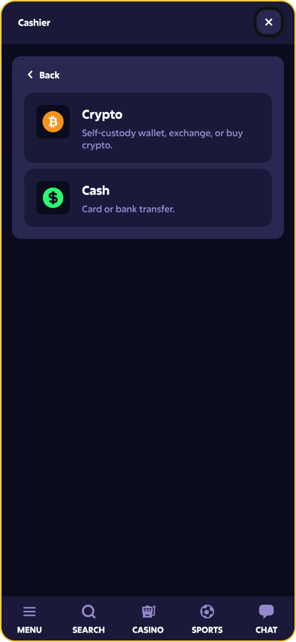 Roobet cashier interface showing deposit methods to fund cricket bets.